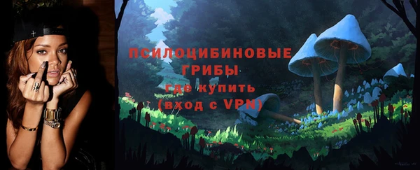 ГАЛЛЮЦИНОГЕННЫЕ ГРИБЫ Балабаново