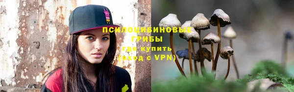 ГАЛЛЮЦИНОГЕННЫЕ ГРИБЫ Балабаново