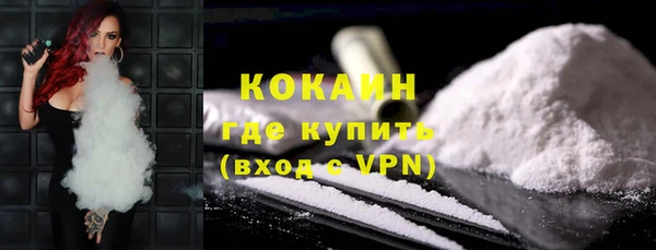 твердый Аркадак