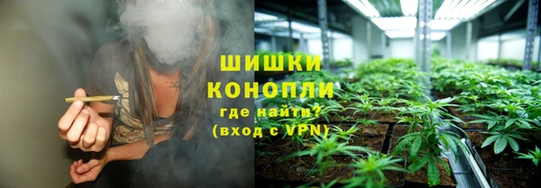 ГАЛЛЮЦИНОГЕННЫЕ ГРИБЫ Балабаново