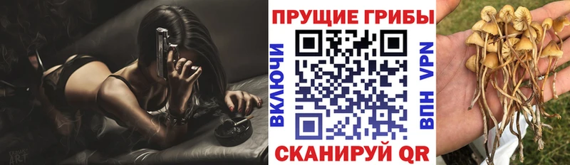 Псилоцибиновые грибы Magic Shrooms  Чернушка 